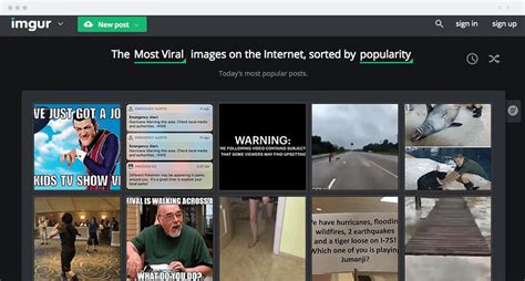 Pia's Free Hosted Gallery .